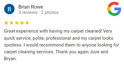 carpet cleaning review