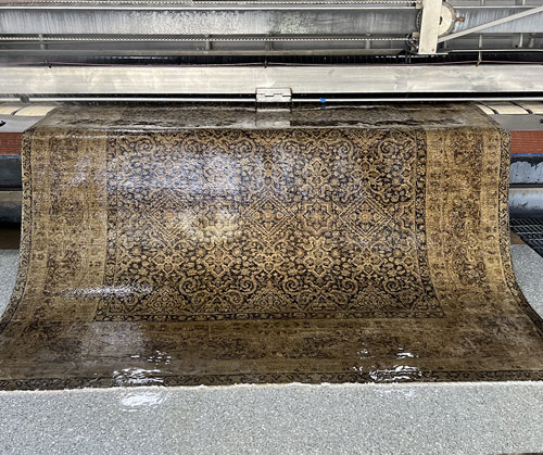 deep cleaning rug